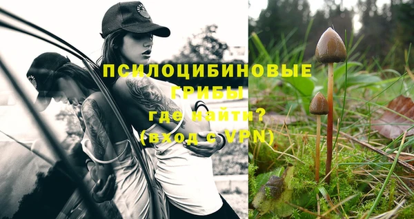 тгк Ладушкин
