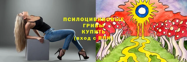 тгк Ладушкин