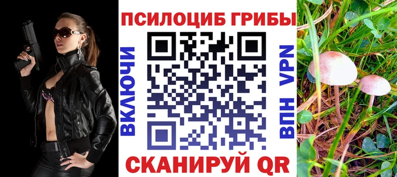 blacksprut   Миллерово  Галлюциногенные грибы MAGIC MUSHROOMS 