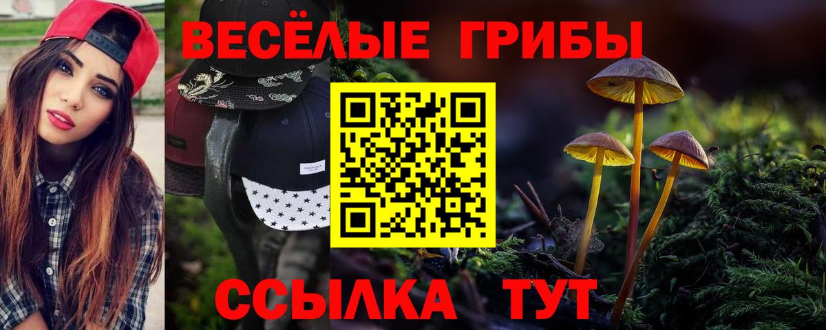 Галлюциногенные грибы мухоморы Миллерово