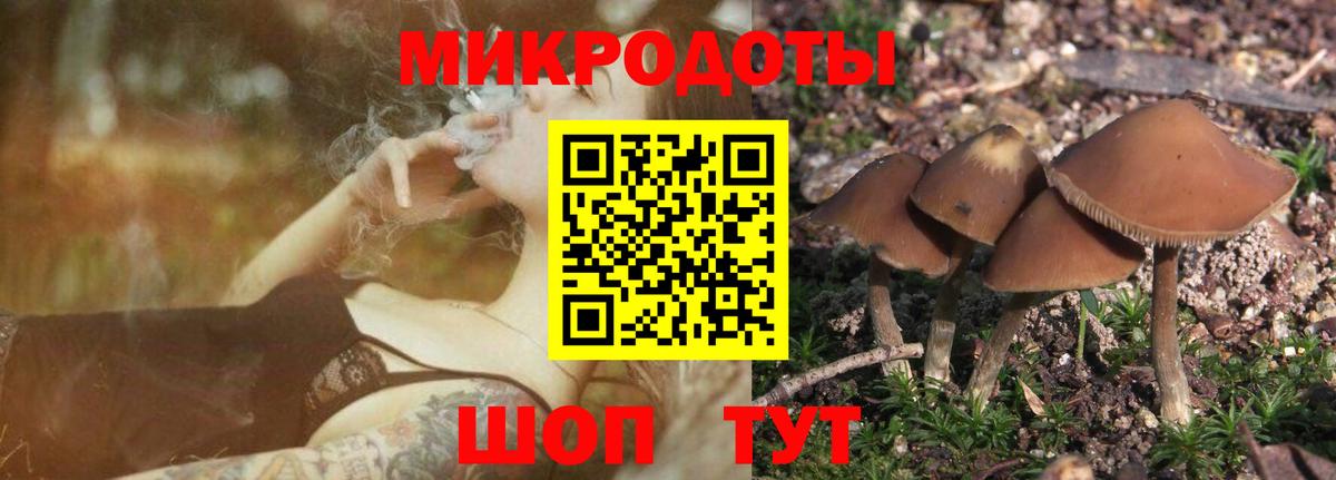 Миллерово  Псилоцибиновые грибы мицелий  Вход с VPN  Псилоцибиновые грибы прущие грибы 